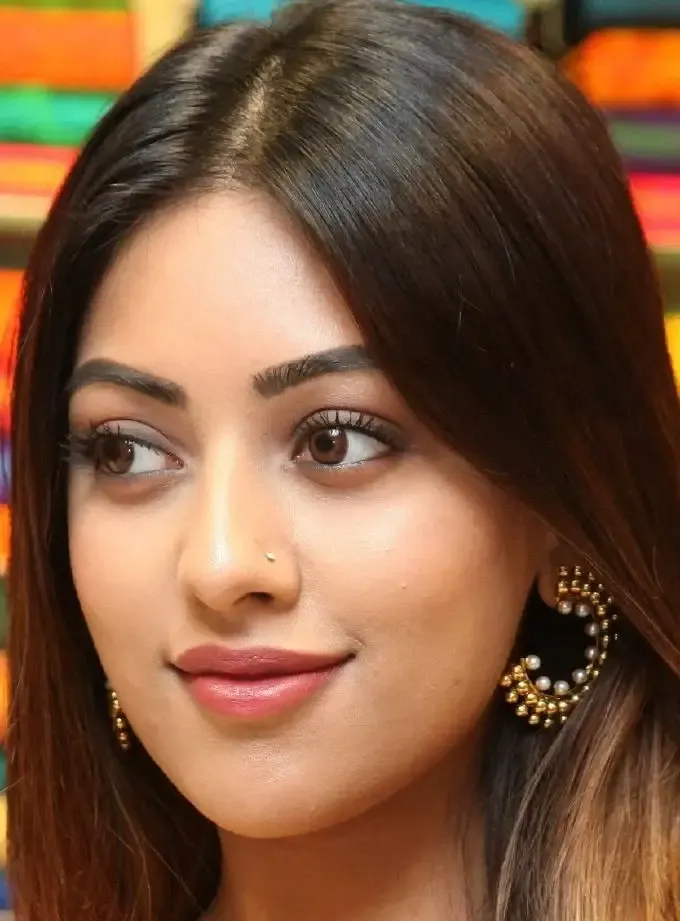 Indian Actress Anu Emmanuel Face Closeup Nose Pin